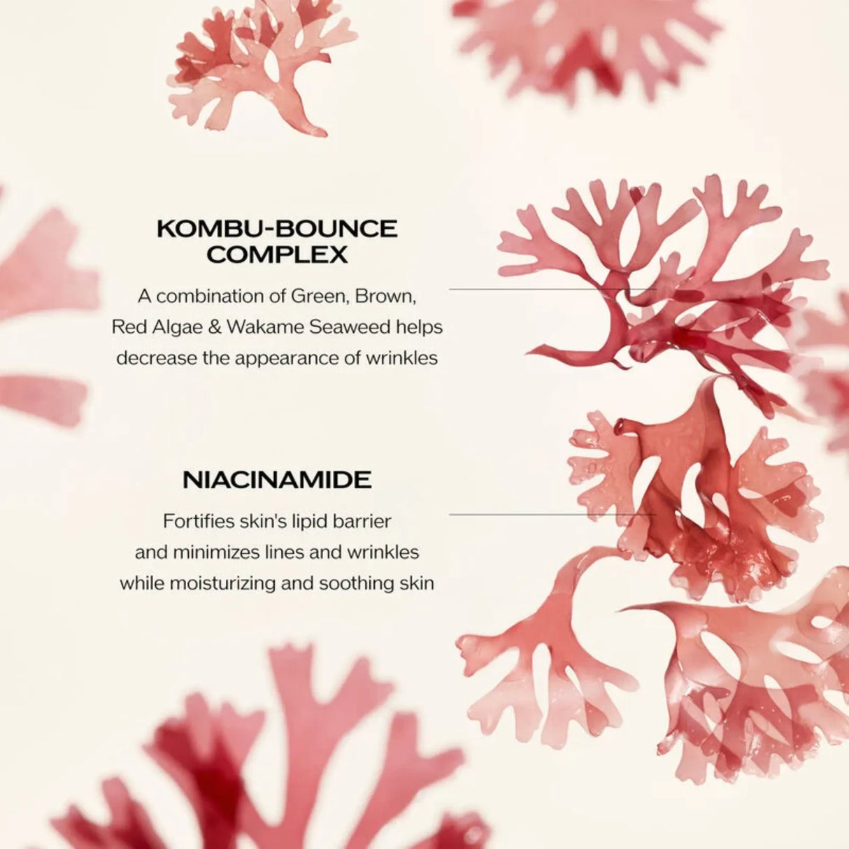 Benefiance Wrinkle Smoothing Day Cream SPF23-Shiseido