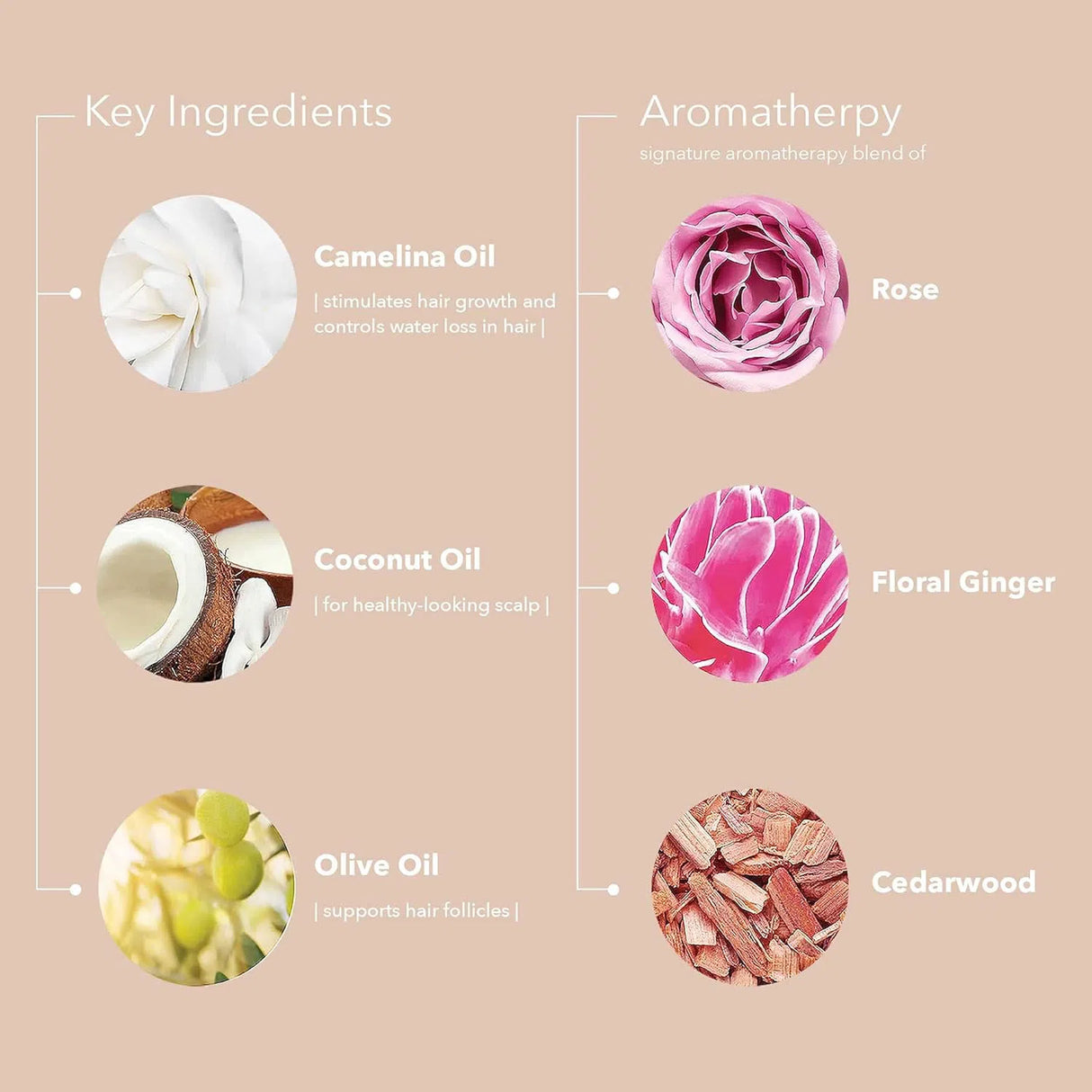 Color Fanatic Multi-Tasking Deep Conditioning Mask-Pureology