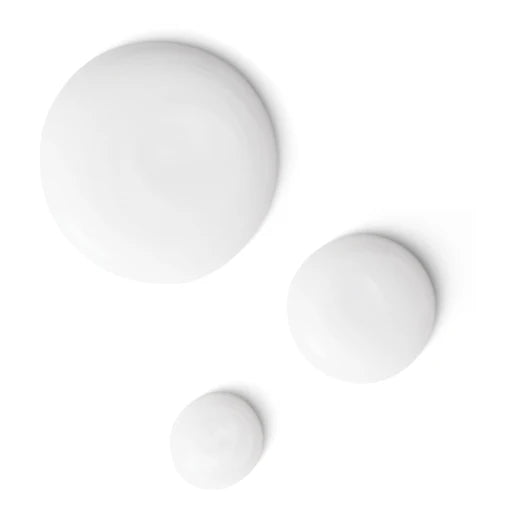 ColorLast Shampoo-Biolage