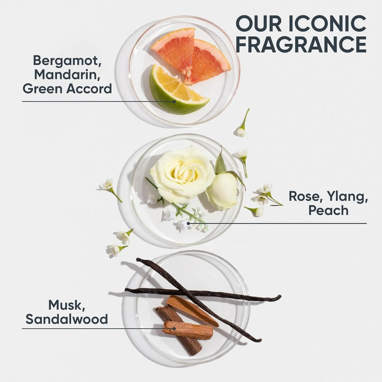 ColorLast Shampoo + Conditioner Duo 1L-Biolage