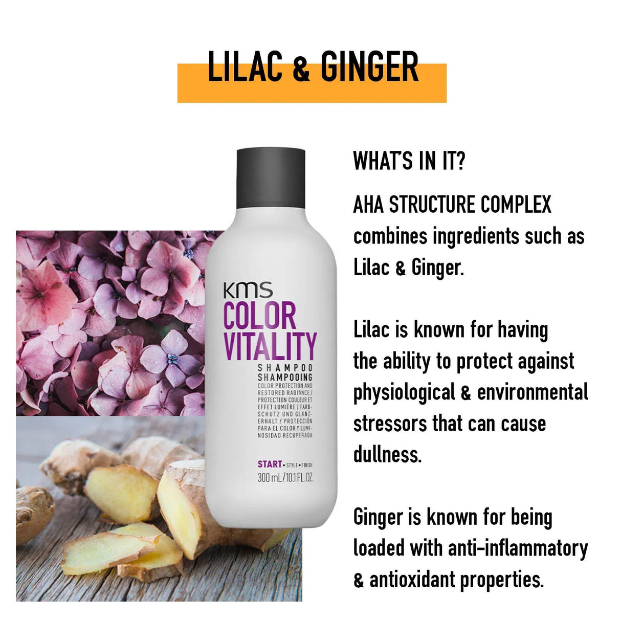 Colorvitality Shampoo-KMS