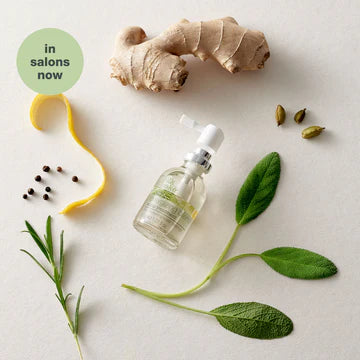 Energizing Blend Scalp Treatment-milk_shake