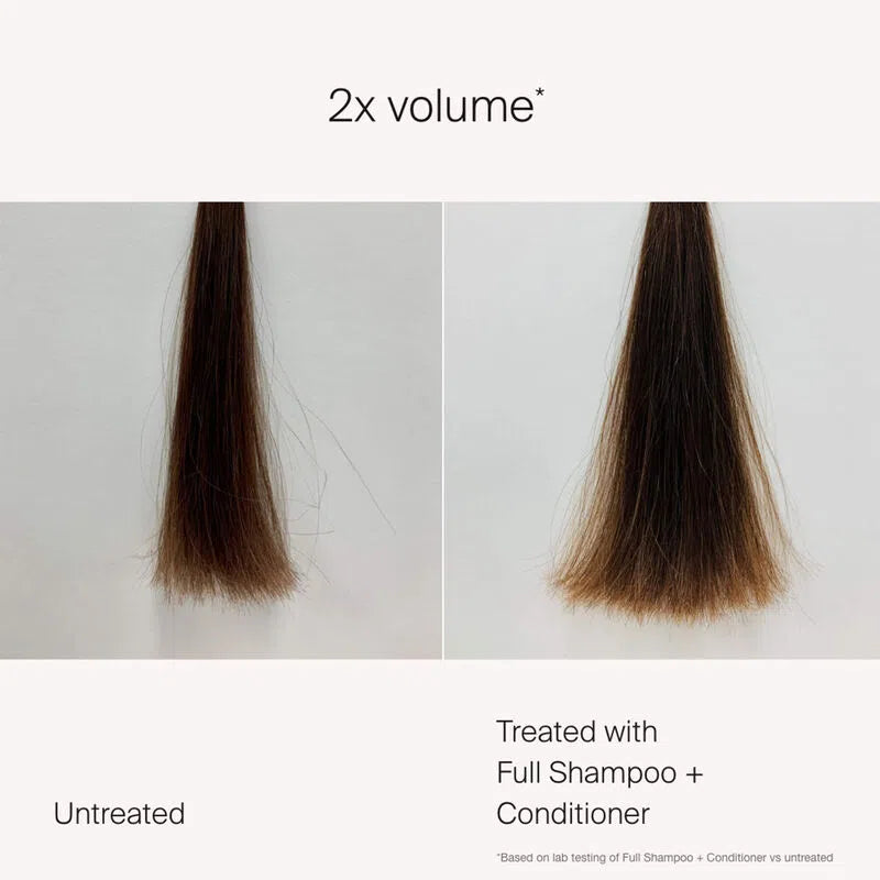 Full Conditioner-Living Proof