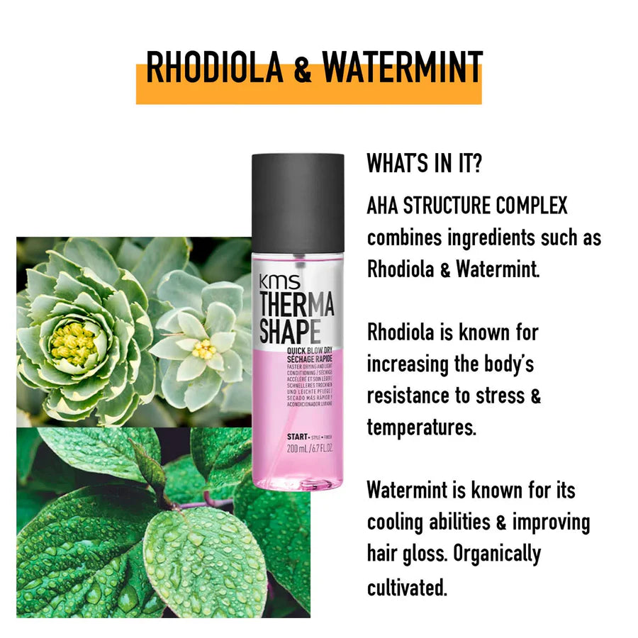 Hair Favourites Sampler Set-KMS