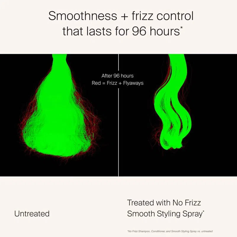 No Frizz Smooth Styling Spray-Living Proof