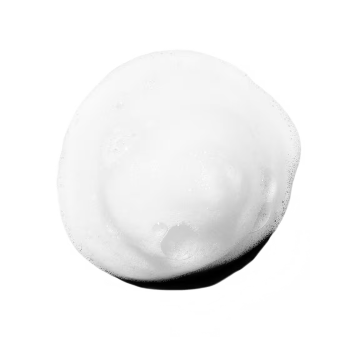 Regeniplex Root Lift Foam-Paul Mitchell