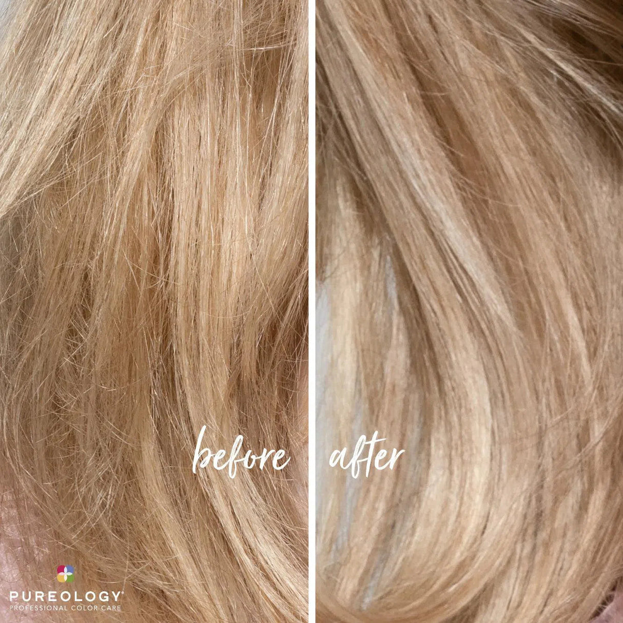 Strength Cure Best Blonde Purple Shampoo-Pureology
