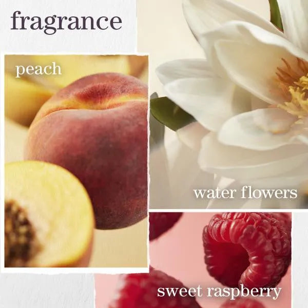 Strength Cure Discovery Kit-Pureology