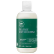 Tea Tree Lavender Mint Moisturizing Shampoo-Paul Mitchell