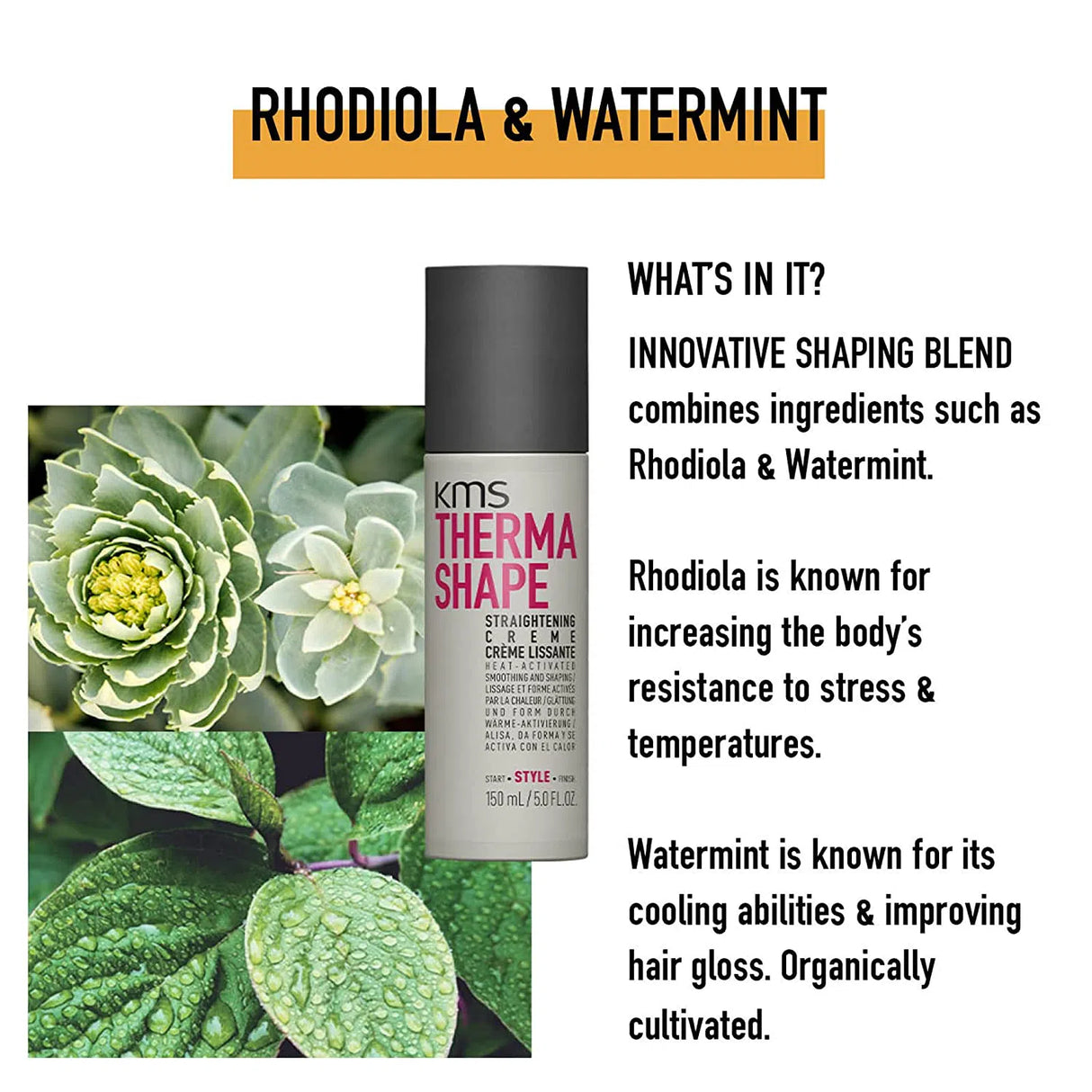 Thermashape Straightening Crème-KMS
