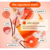 Big Hit Volumizing Shampoo + Conditioner 1L Duo-Amika