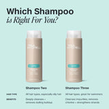 Clarifying Shampoo Two-Paul Mitchell