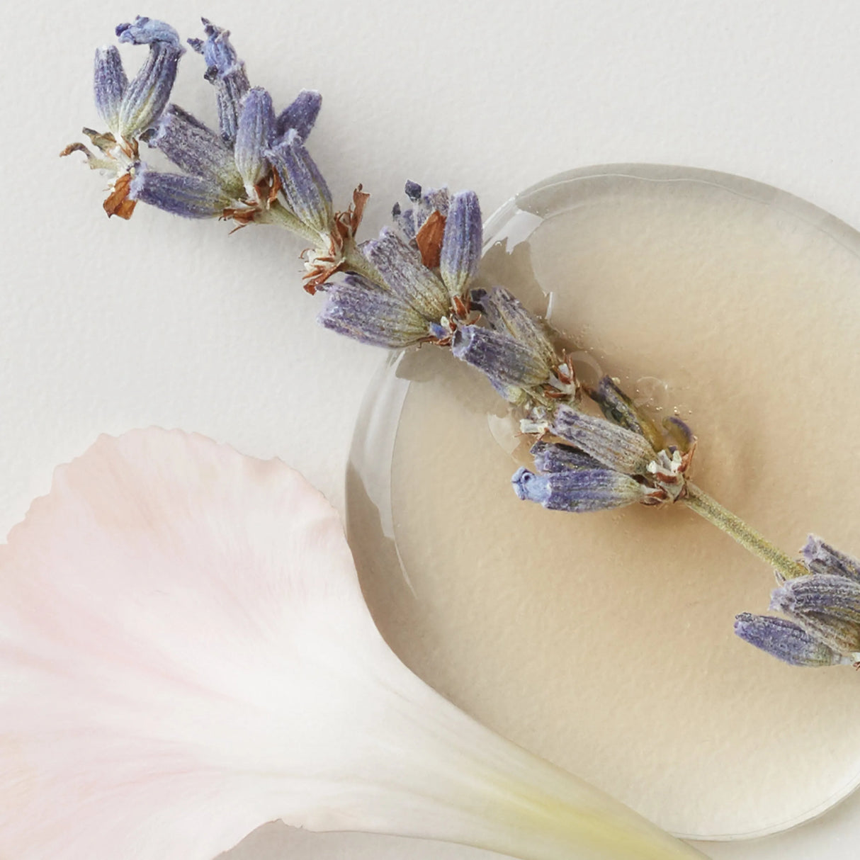 Colour Savour Shampoo + Conditioner 1L Duo-AG Care