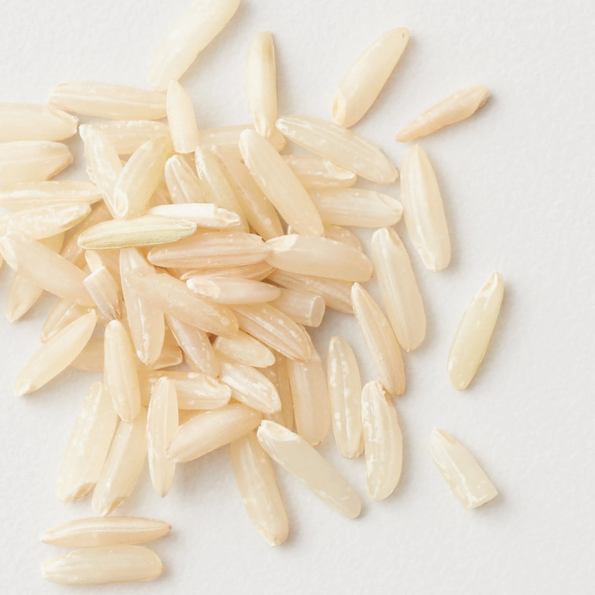 Curl Fresh Shampoo + Conditioner 1L Duo-AG Care