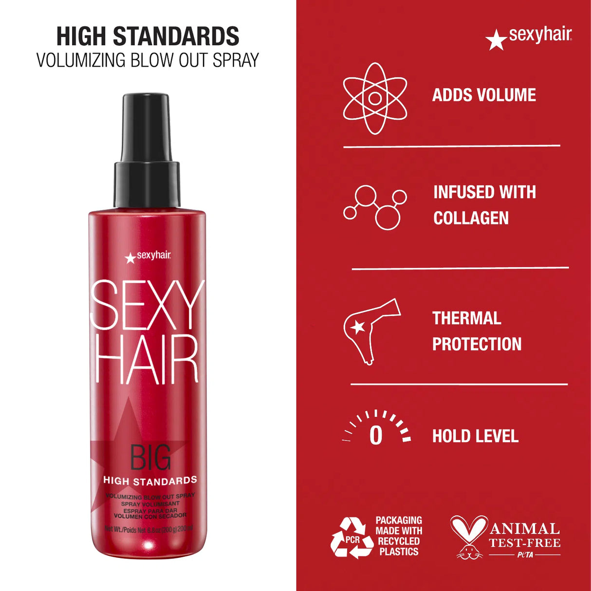 High Standards Volumizing Blow Out Spray-Sexy Hair