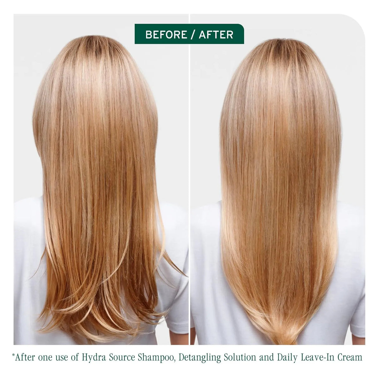 HydraSource Daily Leave-In Cream-Biolage