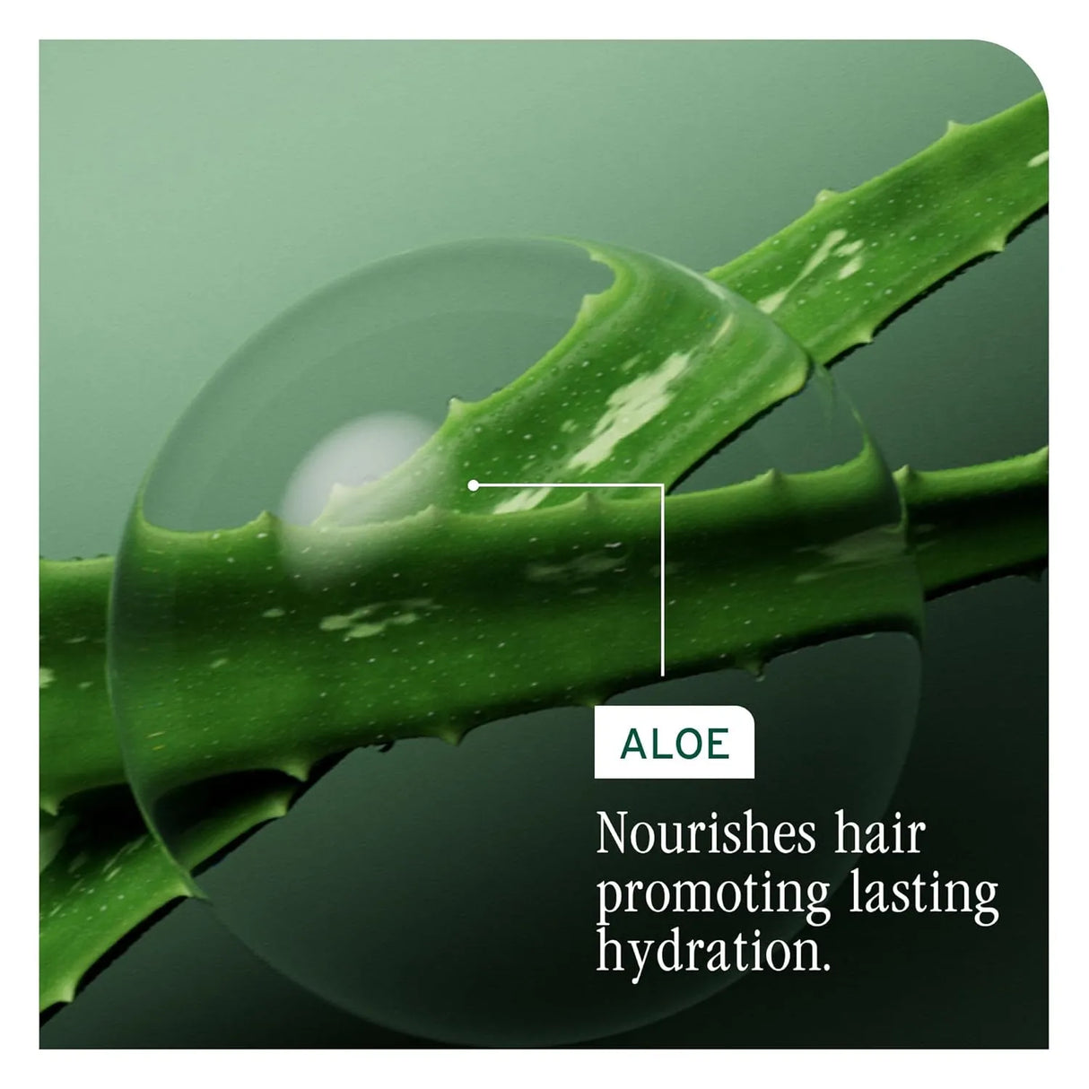 HydraSource Shampoo-Biolage