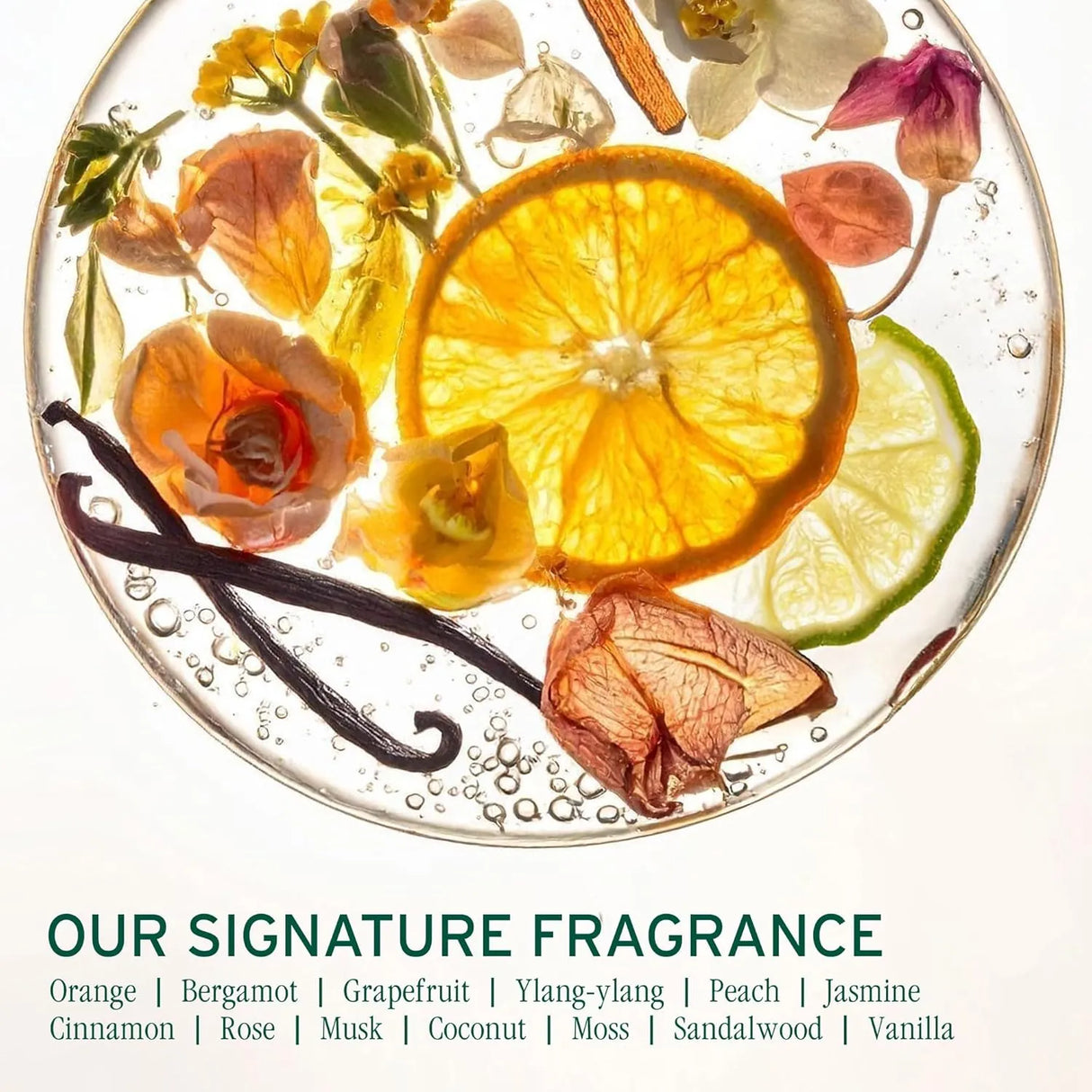HydraSource Shampoo-Biolage