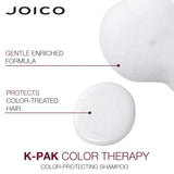 K-PAK Color Therapy Shampoo + Conditioner Duo-Joico