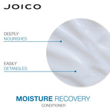 Moisture Recovery Shampoo + Conditioner Duo-Joico