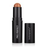 Pro Perfect Foundation Stick-Bodyography