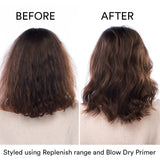 Replenish Conditioner-Authentic Beauty Concept