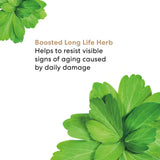 SKINLONGEVITY Long Life Herb Eye Cream-bareMinerals