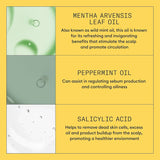 System 1 Scalp + Hair Shampoo + Conditioner 1L Duo-Nioxin