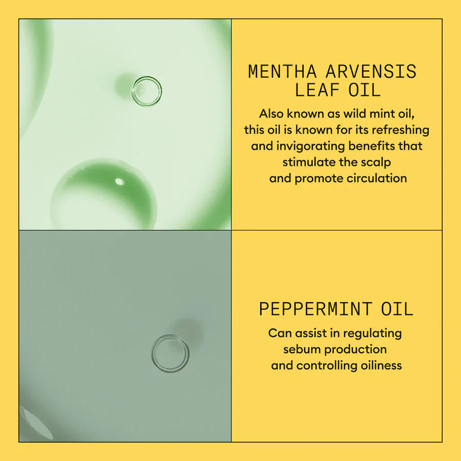 System 1 Scalp + Hair Shampoo + Conditioner 1L Duo-Nioxin