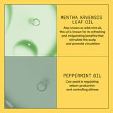 System 1 Scalp + Hair Shampoo + Conditioner 1L Duo-Nioxin