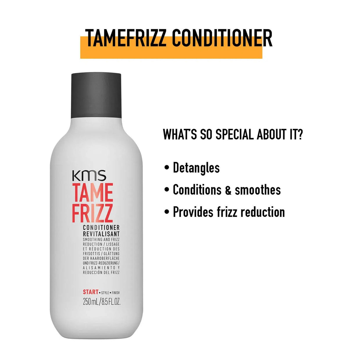 Tamefrizz 750ML Duo-KMS