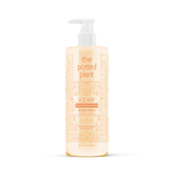 Tangerine Mochi Body Lotion-The Potted Plant