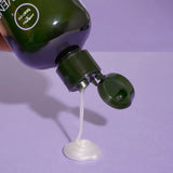 Tea Tree Lavender Mint Moisturizing Shampoo-Paul Mitchell