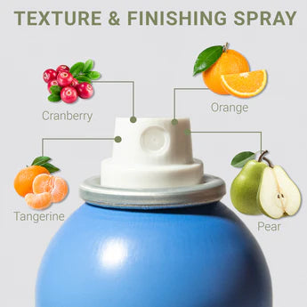 Texture & Finishing Spray-LOMA