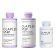 The Blondes Bundle-Olaplex