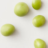 Thikk Shampoo + Conditioner 1L Duo-AG Care