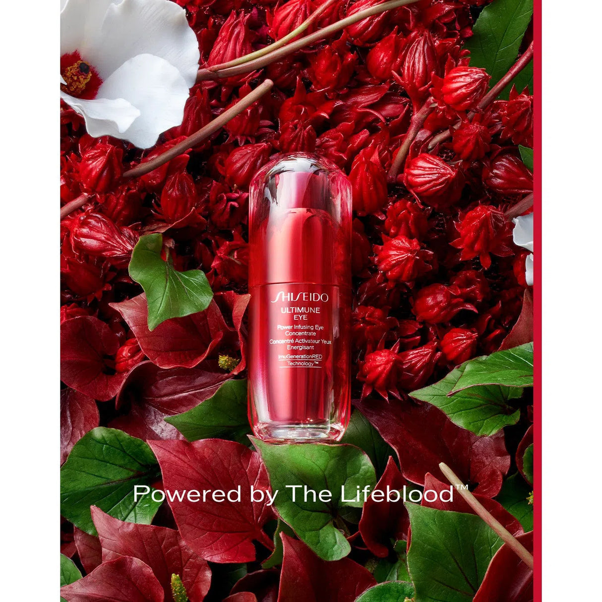 Ultimune Eye Power Infusing Eye Concentrate-Shiseido