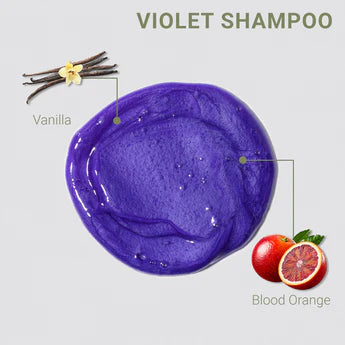 Violet Shampoo + Conditioner 1L Duo-LOMA