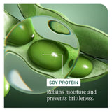 VolumeBloom Conditioner-Biolage